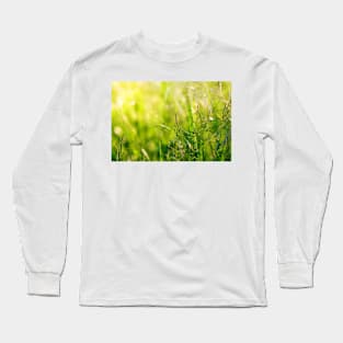 Green grass meadow with a touch of yellow sunbeams Long Sleeve T-Shirt